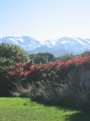 250_KK_mountainsview.JPG