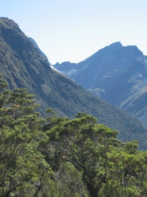 147_caples track.JPG