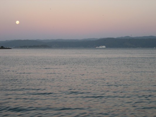 45_wellington.JPG