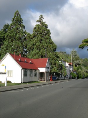 75_nelson.JPG