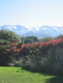 250_KK_mountainsview.JPG