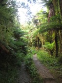 134_copland track.JPG
