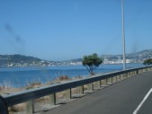 43_wellington.JPG